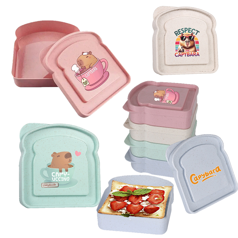 Food Storage Containers With Lids - กล่องเก็บอาหารลายคาปิบารา สำหรับใส่แซนวิช สลัด ผลไม้ ขนม กล่องอาหารกลางวันแบบมีฝาปิด